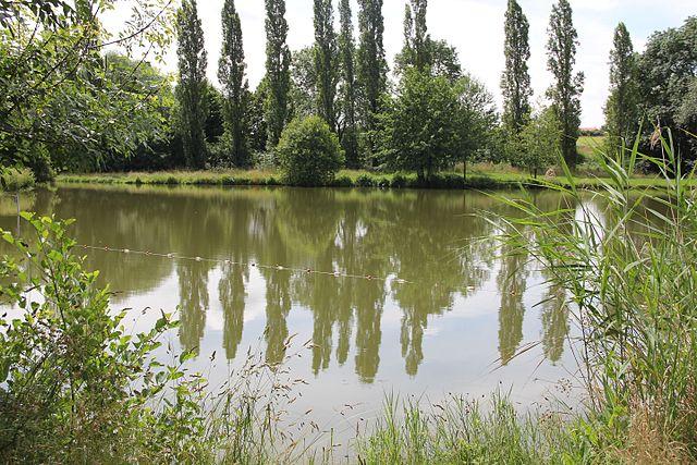 Nantes - Immobilier - CENTURY 21 Île Mangin Beaulieu - Parc de la Filée des Sorinières